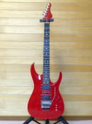 Arch-Top SPTZ~I[_[M^[iC[W